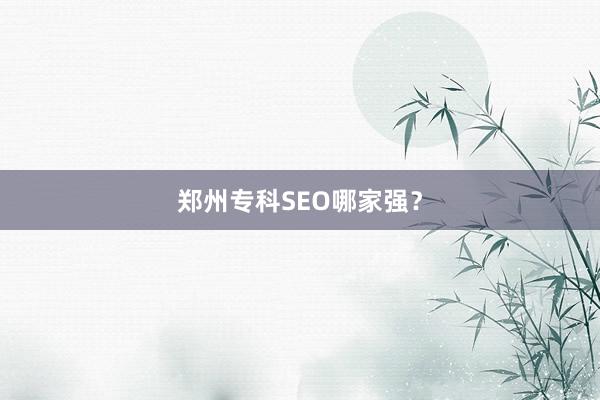 郑州专科SEO哪家强？